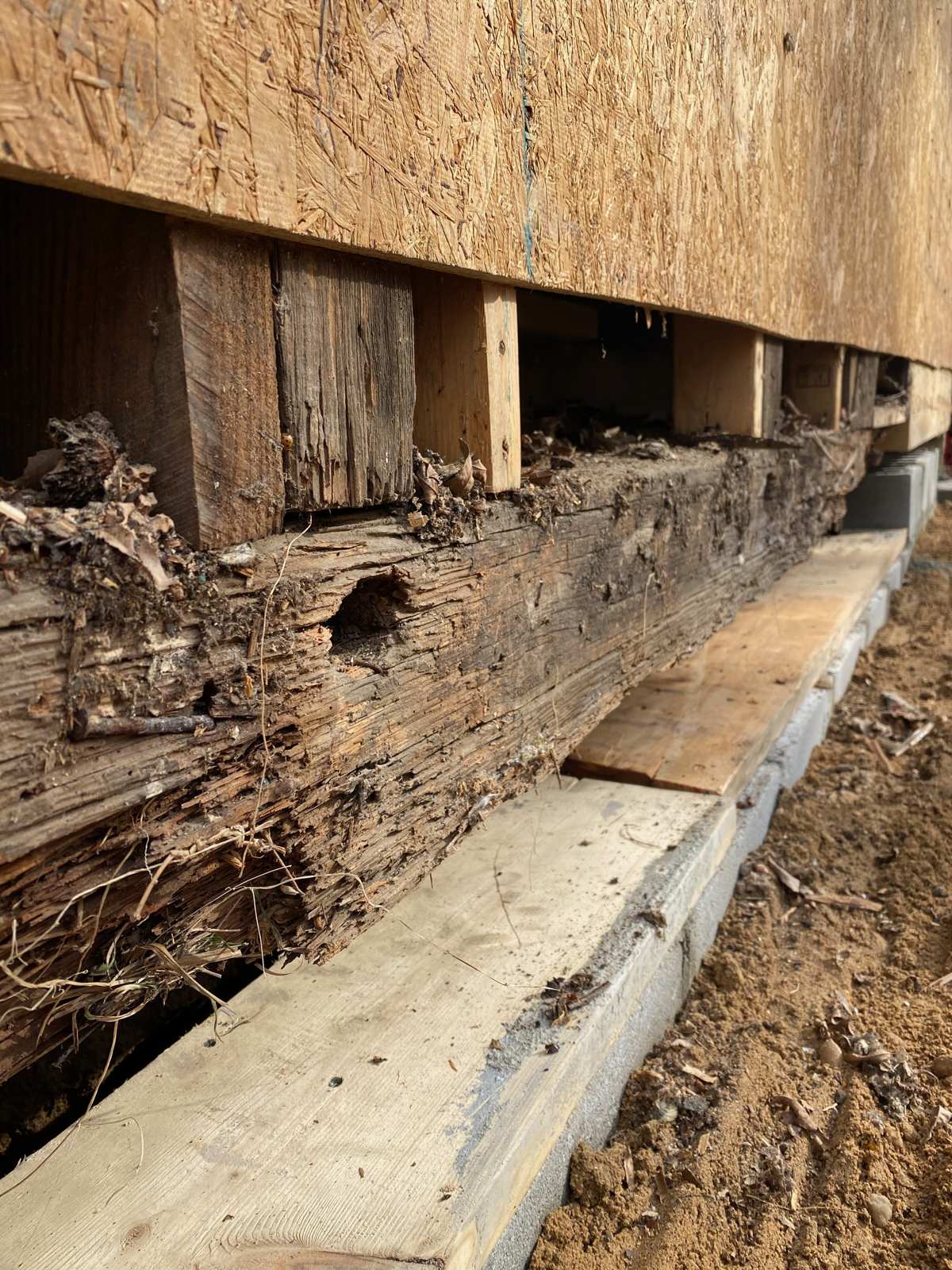 The old sill beside the new one that replaced it