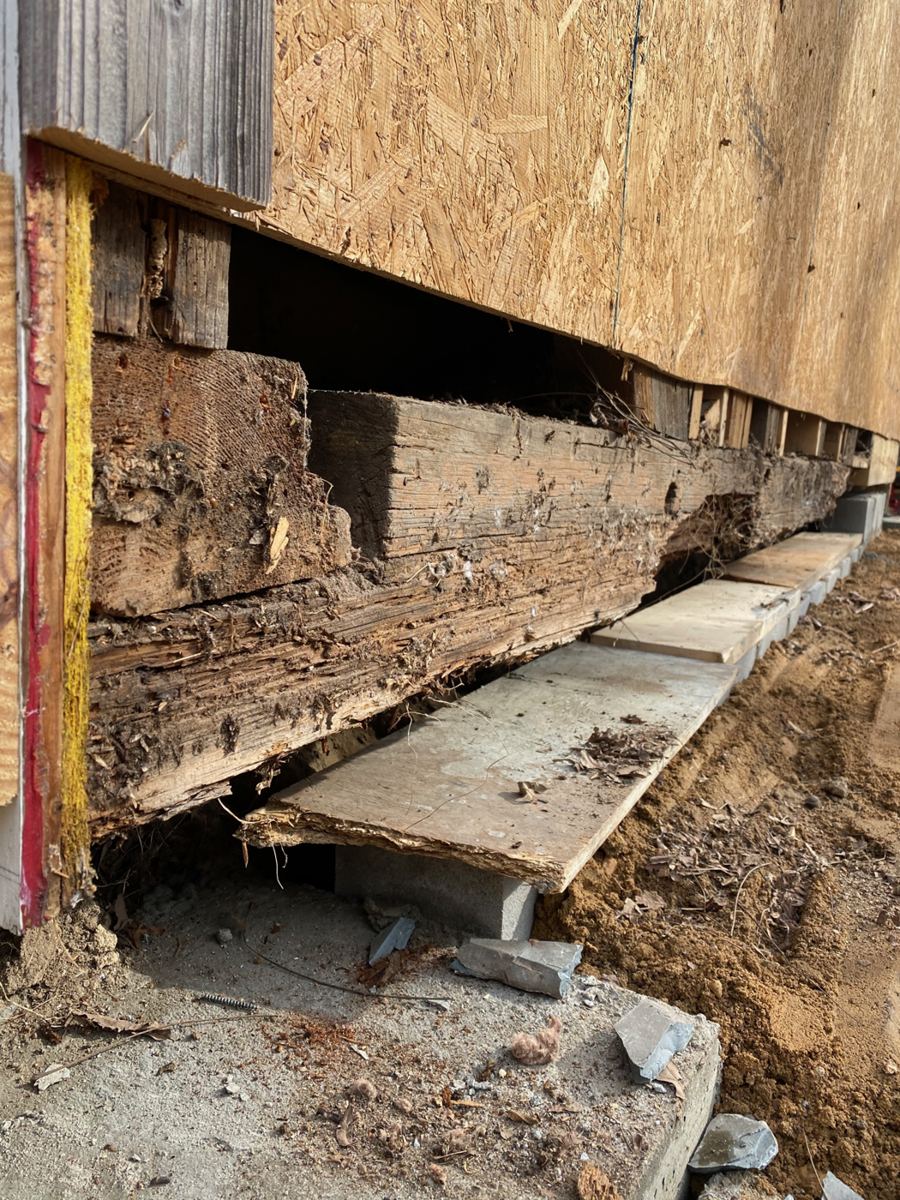 The back corner opened up: the rotted sill removed and the floor framing exposed for repair