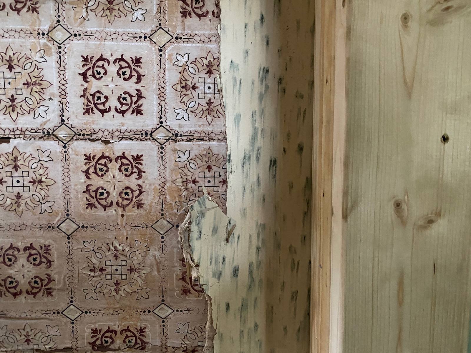 Original wallpaper found behind the plaster, left in place behind the new framing