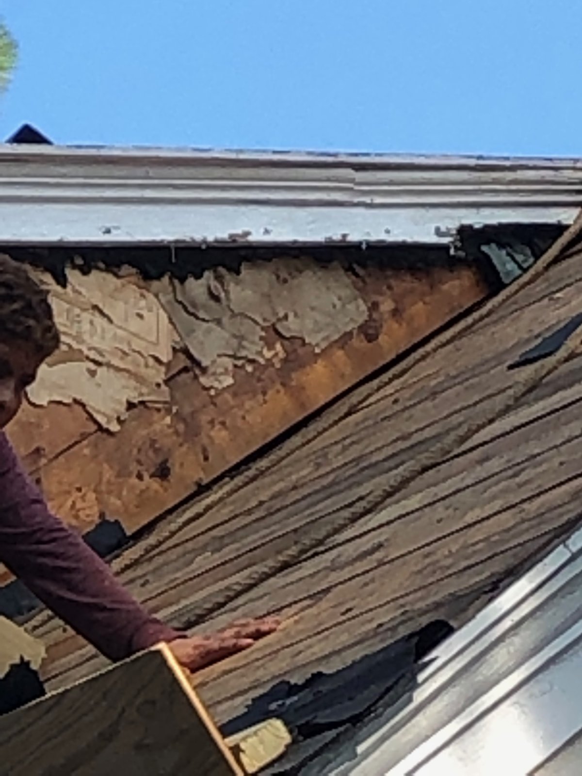 Close-up of rotted wood sheathing and failed building paper exposed on the dormer after the shakes were removed