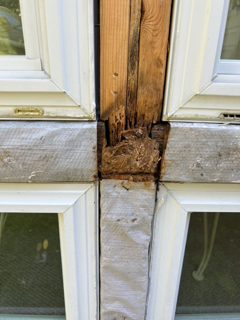 Sunroom Water Damage Repair